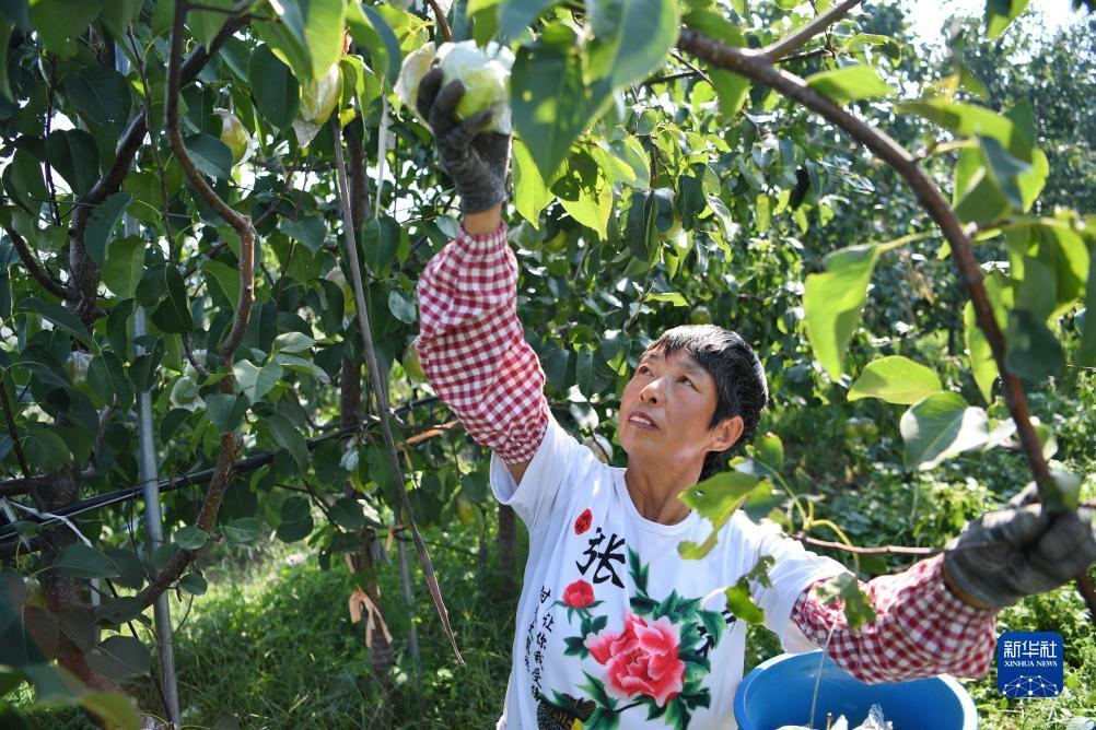 1597发短信送59彩金